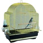 Budgie training using positive reinforcement methods